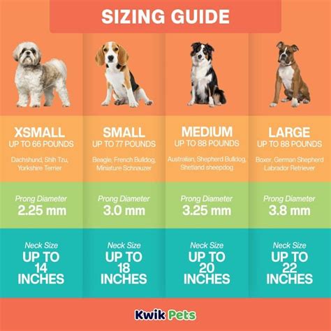 prong collar size chart.